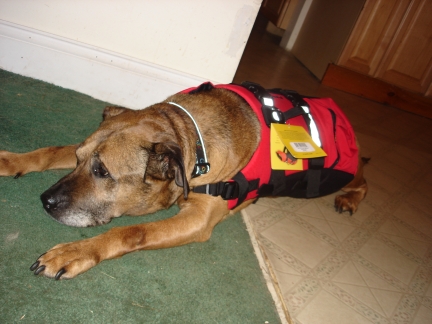 Chet's Lifejacket