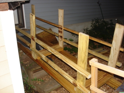 Dog ramp with hand rails